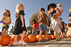 Harvest Festival 2008