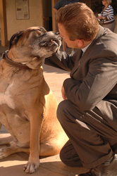 Blessing of the Animals
