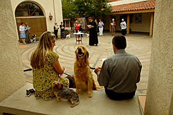 Blessing of the Animals 2010