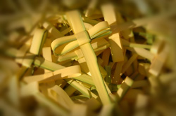 Palm Sunday 2008