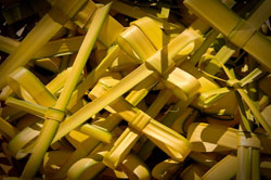 Palm Sunday 2010